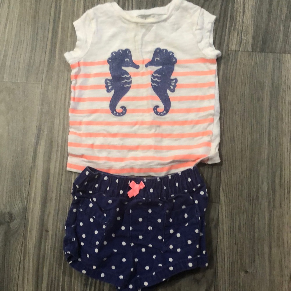 Carters 9 months Girls outfit